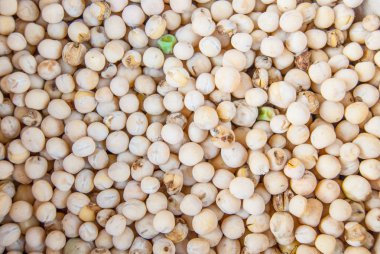 kuru bezelye - bitki hafif baklagil doku