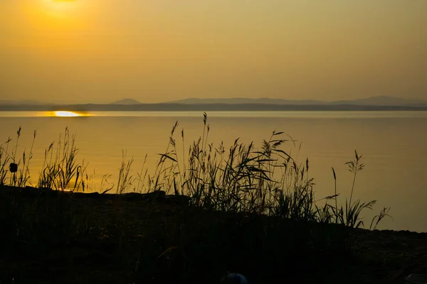 Pôr do sol dourado em uma costa de um lago com silhueta de plantas, Uveldy, o Ural, Rússia — Fotografia de Stock