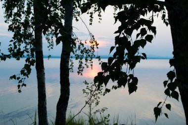 Silhouette ağaçlar ve arka planda yaprakları gül göl Uveldy, gün batımı