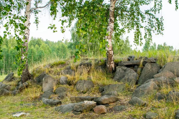 Doğal taşlar ve kayalar toplu olarak huş ağacı ile orman 