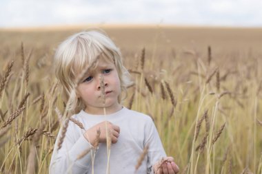 Sarışın Slav mutlu çocuk çocuk olgun çavdar buğday alan, sonbaharda hasat, Rusya, Urallar