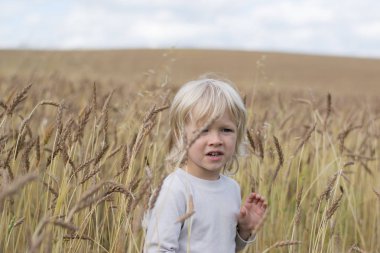 Sarışın Slav mutlu çocuk çocuk olgun çavdar buğday alan, sonbaharda hasat, Rusya, Urallar