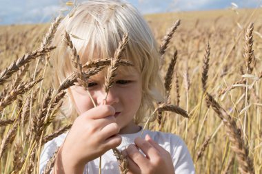 Sarışın Slav mutlu çocuk çocuk olgun çavdar buğday alan, sonbaharda hasat, Rusya, Urallar