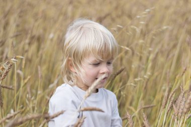 Sarışın Slav mutlu çocuk çocuk olgun çavdar buğday alan, sonbaharda hasat, Rusya, Urallar