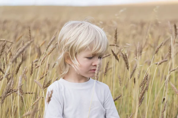 Sarışın Slav mutlu çocuk çocuk olgun çavdar buğday alan, sonbaharda hasat, Rusya, Urallar