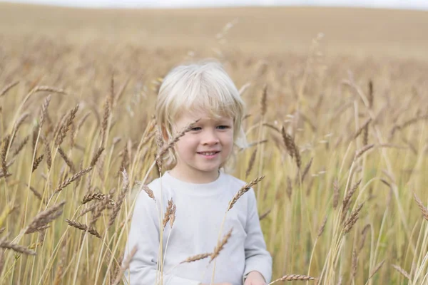 Blond Slavische gelukkig kind jongen in een tarweveld rijp rogge, herfst oogst, Rusland, de Oeral — Stockfoto