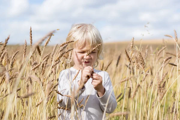 金发碧眼的斯拉夫快乐的孩子男孩成熟黑麦麦田，在秋收，俄罗斯乌拉尔山 — 图库照片