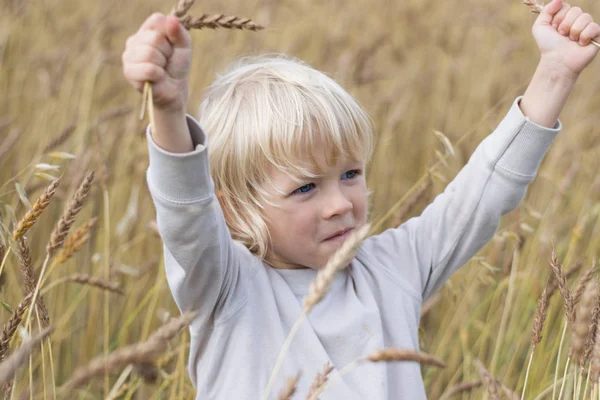 Sarışın Slav mutlu çocuk çocuk olgun çavdar buğday alan, sonbaharda hasat, Rusya, Urallar