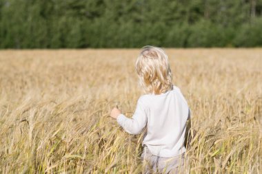 Sarışın Slav mutlu çocuk çocuk olgun çavdar buğday alan 