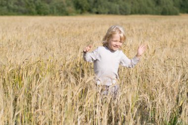 Sarışın Slav mutlu çocuk çocuk olgun çavdar buğday alan 