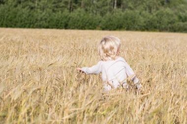 Sarışın Slav mutlu çocuk çocuk olgun çavdar buğday alan 