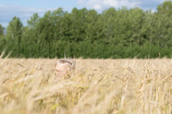 Sarışın Slav mutlu çocuk çocuk olgun çavdar buğday alan 
