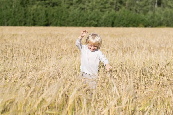在成熟的黑麦麦田金发斯拉夫快乐的孩子男孩 — 图库照片