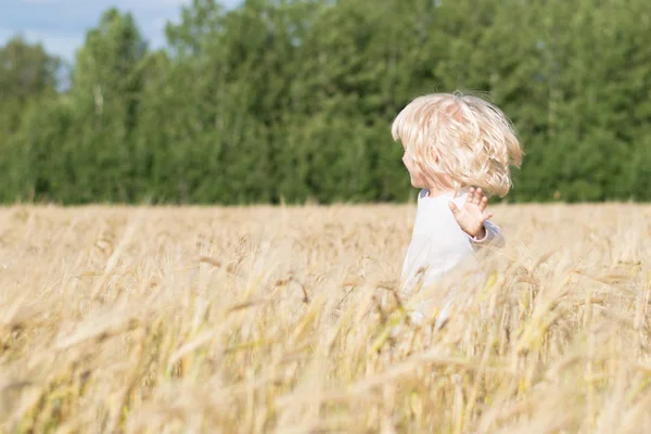 Sarışın Slav mutlu çocuk çocuk olgun çavdar buğday alan 