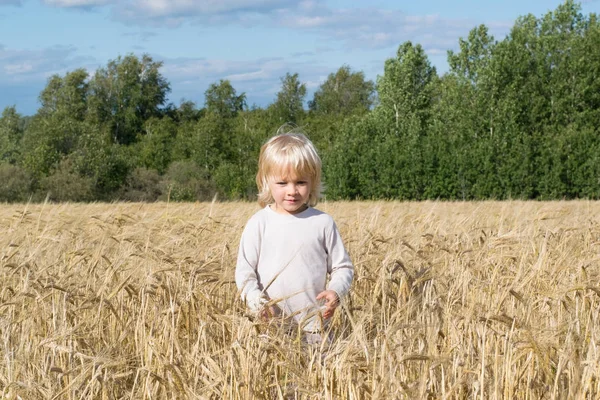 Sarışın Slav mutlu çocuk çocuk olgun çavdar buğday alan 