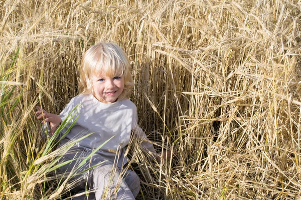 Mutlu sarışın çocuk eğlenceli çavdar alanında vardır.