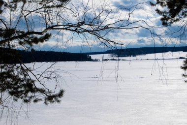 Bulutlu bir sıkıcı gün çam ormanı ile göl donmuş kış,