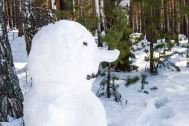 Kardan adam bir kış orman - yılbaşı eğlence