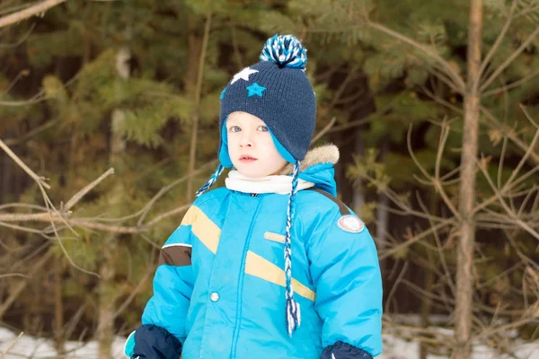 A child boy takes a walk in a winter forest — Stock Photo, Image