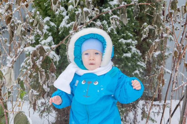 Niño Sorprendido Con Una Nieve Jardín Invierno — Foto de Stock