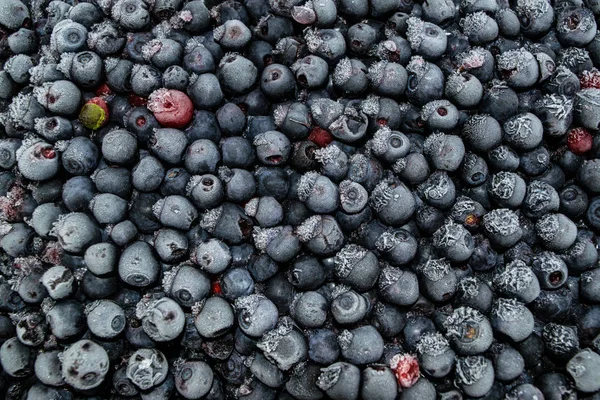 Frozen Bilberries Texture Black Berries Covered Ice — Stock Photo, Image