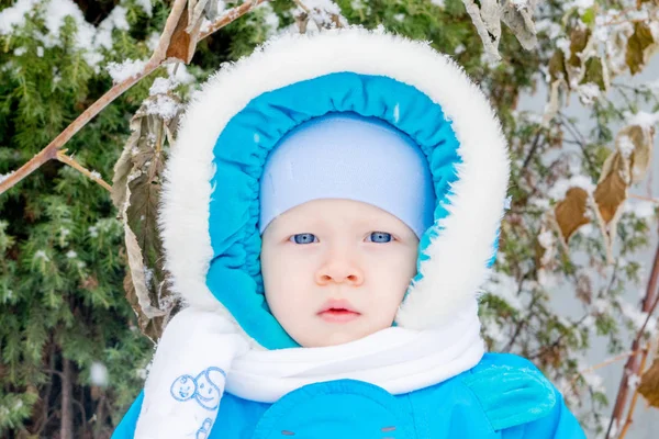 Niño Sorprendido Con Primera Nieve Sosteniendo Nieve Mano —  Fotos de Stock