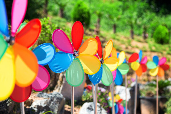 the colorful weather vane 