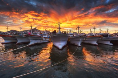 Işımanın gemilerle