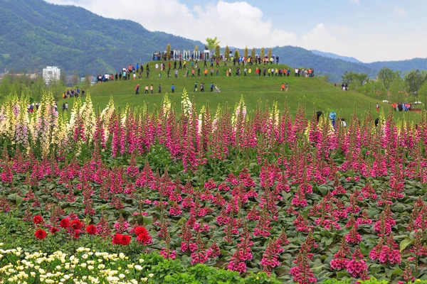 Suncheon Garden Fair with flower