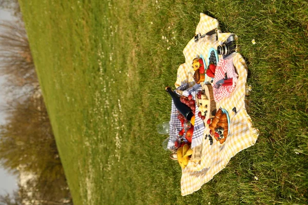 Picnic Verano Con Productos Sándwich Ensalada Frutas Bebida Sombrero Sobre — Foto de Stock