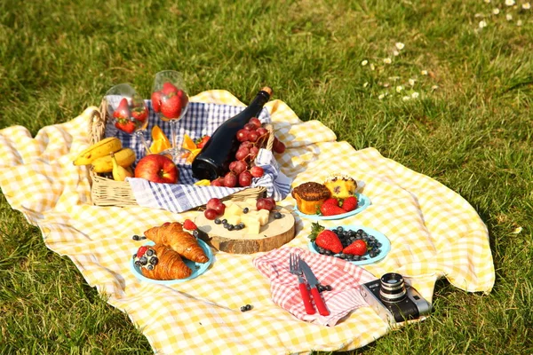 Piquenique Verão Com Produtos Sanduíche Salada Frutas Bebida Chapéu Grama — Fotografia de Stock