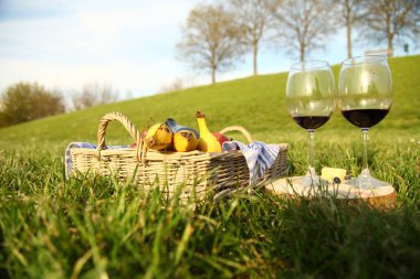 yaz pikniğinde ürünler, sandviç, salata, meyve, içecek ve şapkayla yeşil çimen desenli arka plan görüntüsü