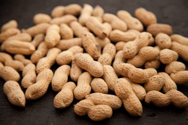 Garlik ahşap arka planda. Autumn Cep Mantarları. Boletus Edulis 'i Tahta Karanlık Arkaplan' ın üzerinde, ahşap kırsal masaya yakın tutuyor. Lezzetli organik mantar pişiriyorum. Gurme yemekleri.