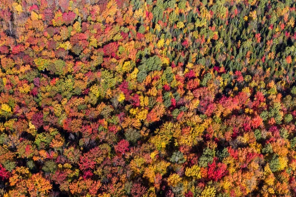 Podzimní pohled letecké krajina — Stock fotografie