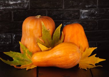 Sonbaharda hasat. Sebze. 