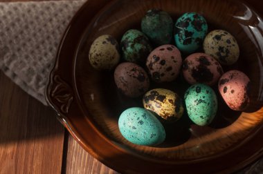 Kutlama. Paskalya tatili. Renkli hala can.