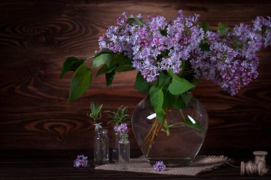  Leylaklarla dolu bir hayat. Güzel kokulu leylak.