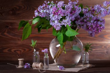  Leylaklarla dolu bir hayat. Güzel kokulu leylak.