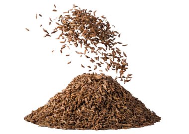 Kimyon tohumu beyaz arka plan üzerinde izole hareket