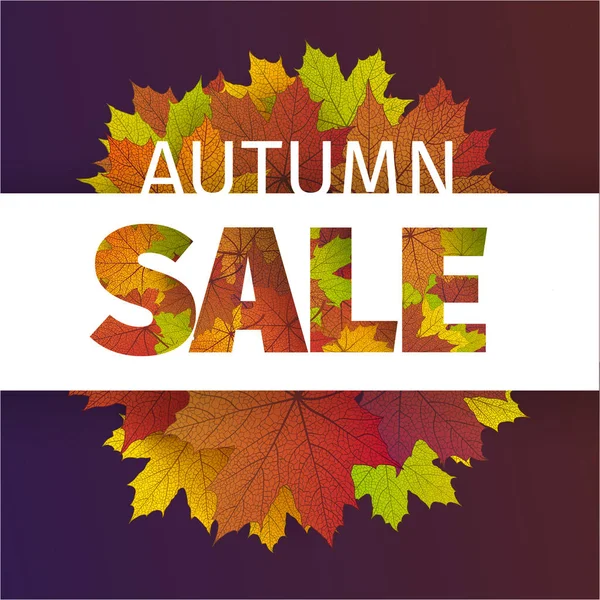 Fall sale design. Autumn discount. Vector fall leaves. Vector fall sale poster illustration with colorful autumn leaves. Can be used in business for flyers, banners or posters. — Stock Vector