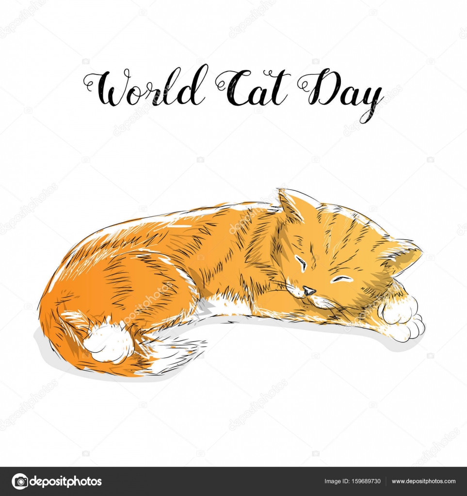 Kedi Günü Kedi Günü