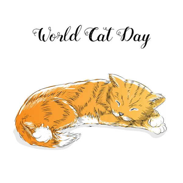 Weltkatzentag. Feiertag. Vektorillustration — Stockvektor