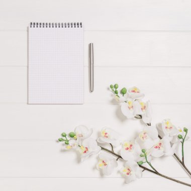 Kadının tablo, Danışma veya yukarıda da görüleceği çalışma alanı. Üstten Görünüm arka plan beyaz tahta ve kopya alanı ile