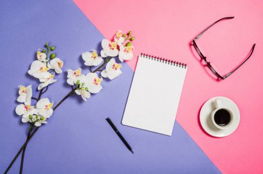 Düz fotoğraf yaratıcı bir freelancer kadın çalışma alanı Resepsiyon ile kopya alan arka plan yattı.