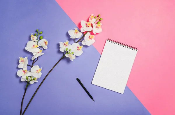 Flat lay foto di una donna freelancer creativo scrivania spazio di lavoro con lo sfondo spazio copia . — Foto Stock