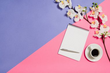 Düz fotoğraf yaratıcı bir freelancer kadın çalışma alanı Resepsiyon ile kopya alan arka plan yattı.