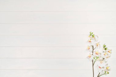 Kadının tablo, Danışma veya yukarıda da görüleceği çalışma alanı. Üstten Görünüm arka plan beyaz tahta ve kopya alanı ile