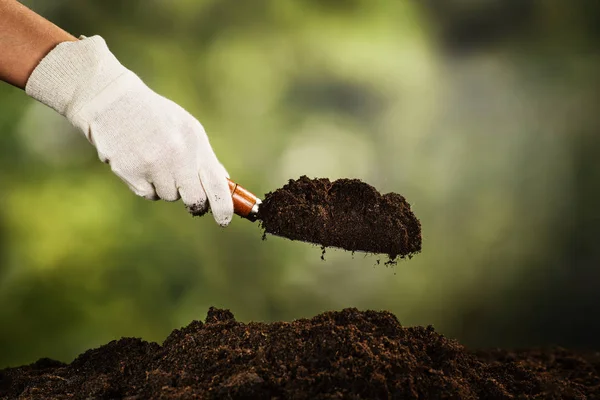 Plantando uma pequena planta em pilha de solo — Fotografia de Stock