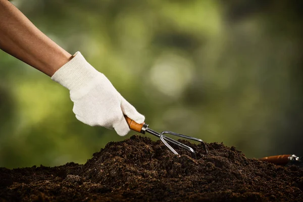 Plantar una pequeña planta en un montón de tierra — Foto de Stock