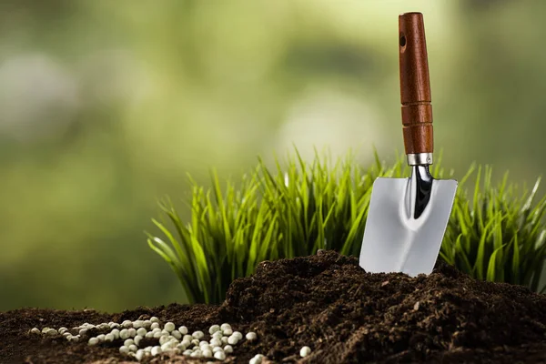 Plantar una pequeña planta en un montón de tierra — Foto de Stock